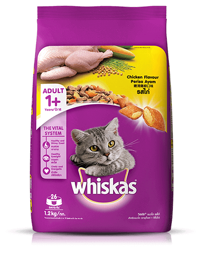 Cat Food Chicken Flavour (Dry)